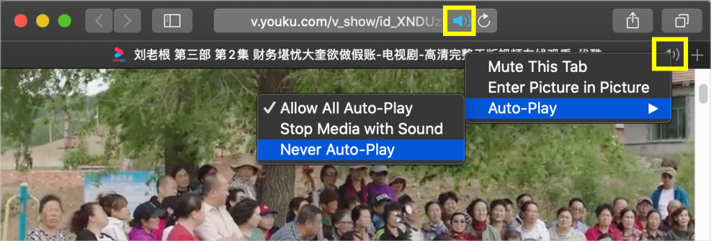 在 Safari 中静音和自动播放
