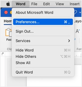 在 Mac 中打开 Word 首选项