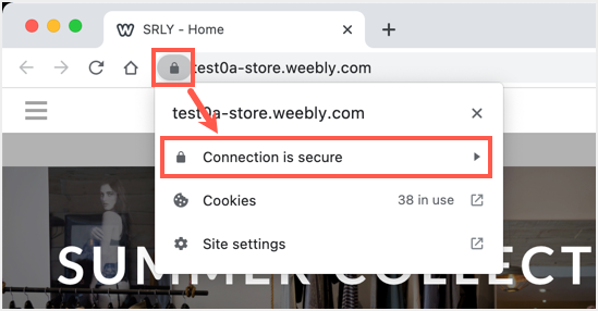 浏览器中的连接是安全的