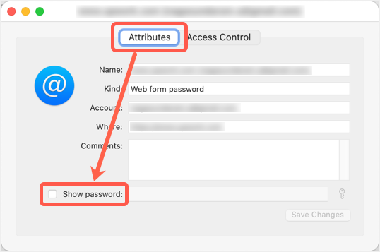 在钥匙串访问应用程序中显示 Safari 密码