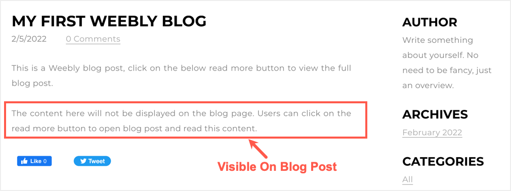 完整的博客文章视图