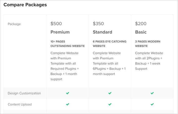 自由职业者的 Fiverr Gig 示例