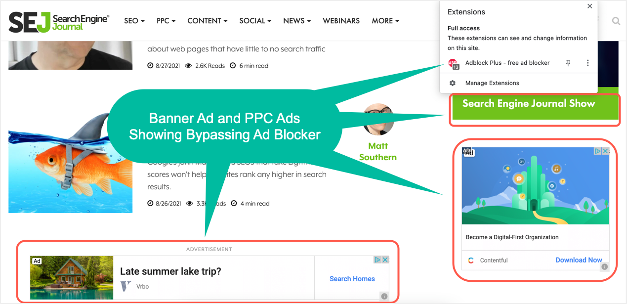 通过广告拦截器展示的广告