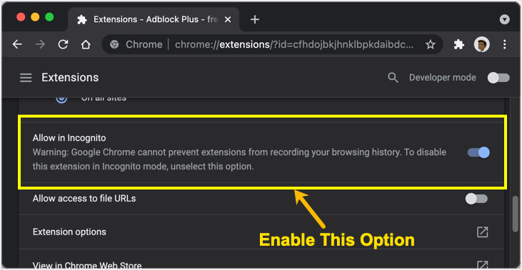 在隐身模式下启用允许