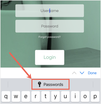 来自 iCloud 的密码建议