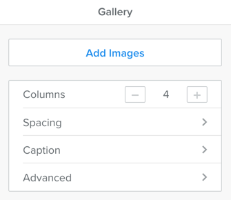 Weebly 图库元素选项