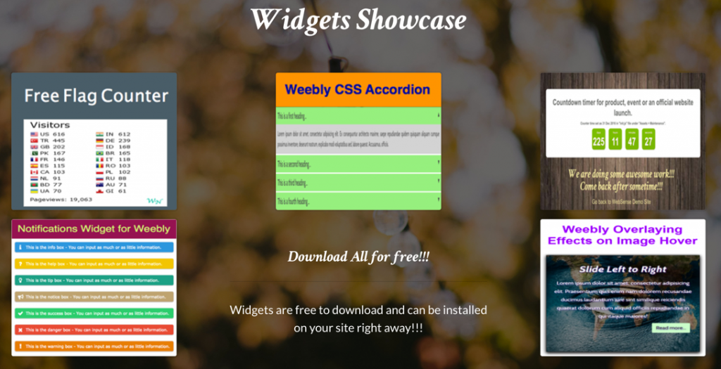 在截面元素上创建画廊效果