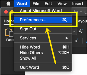 打开单词首选项
