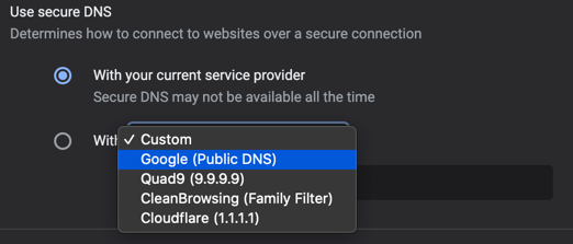 在 Chrome 中选择公共 DNS