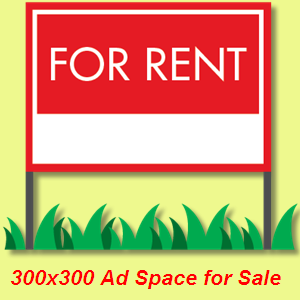 1659677516 27 我真的可以在网上赚钱