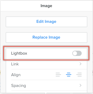 图像的 Weebly 灯箱选项