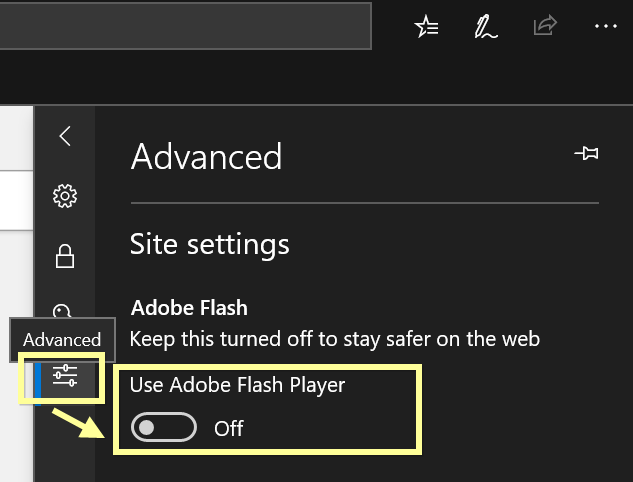 禁用 Adob​​e Flash 播放器