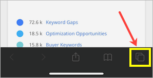 在 Safari iPhone 中打开新标签页