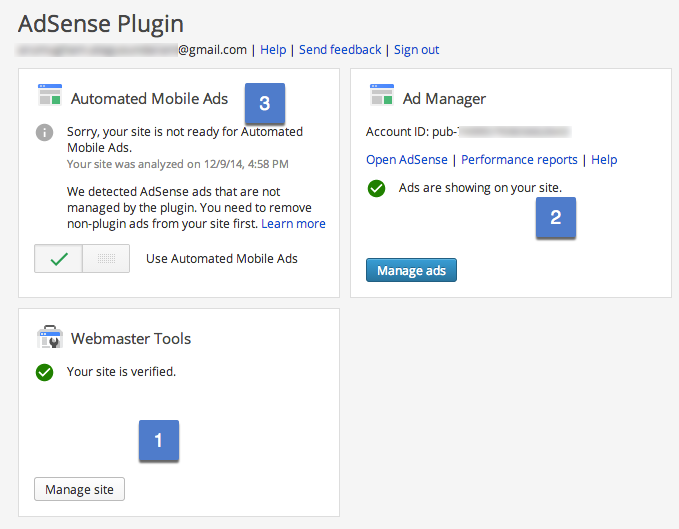 Google AdSense 插件选项