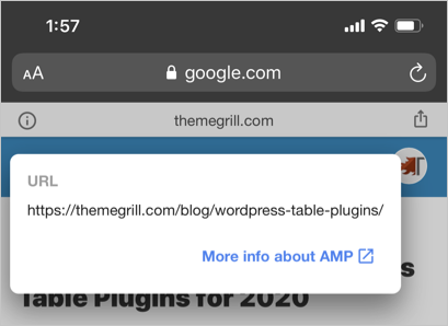 在 Google 搜索中查看 AMP 页面