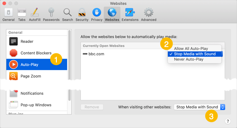 Safari 中的视频自动播放首选项