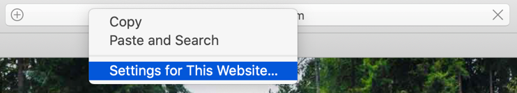 Safari 中的网站设置