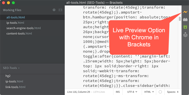 带括号的 Chrome 实时预览选项