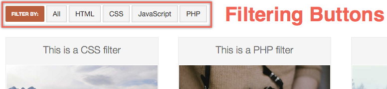 过滤小部件中的按钮