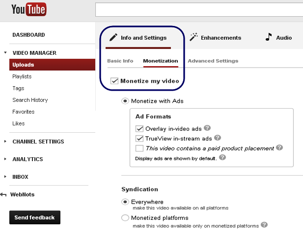 YouTube 视频级获利