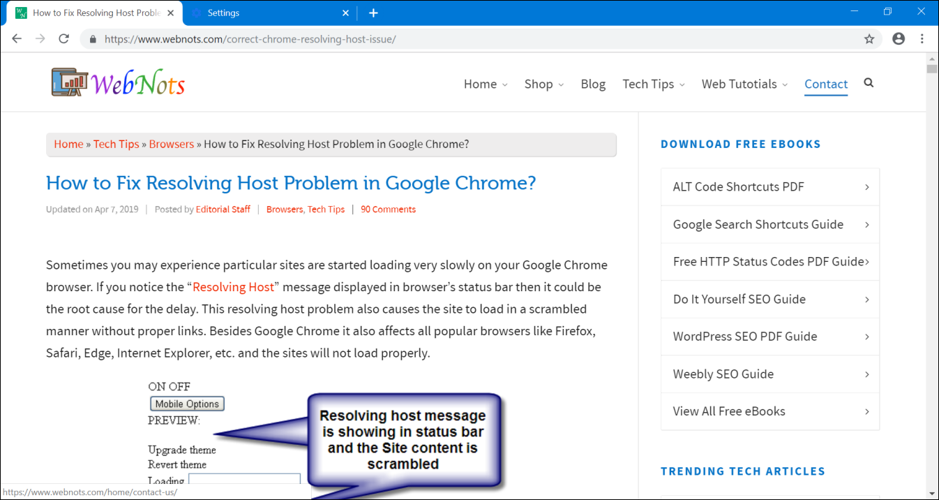 Chrome 中的 100% 缩放级别