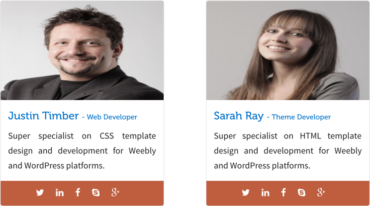 团队成员面板小部件