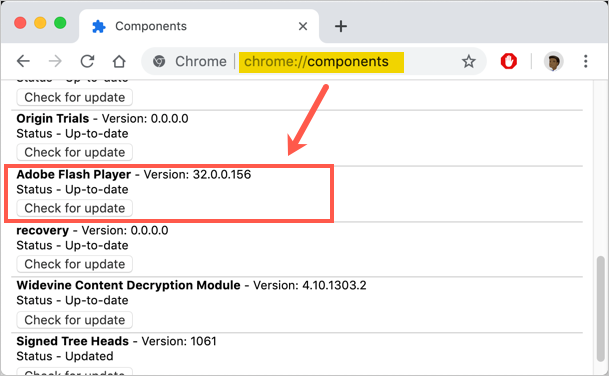 在 Chrome 中更新 Adobe Flash Player