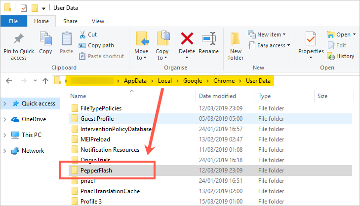 Pepper Flash 文件夹