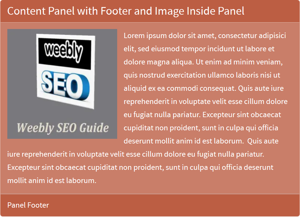 面板内带有页脚和图像的内容面板