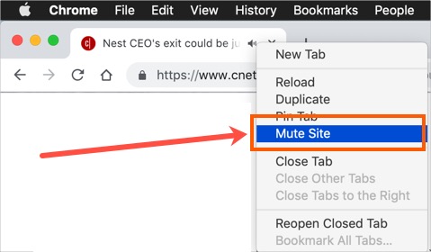 在 Chrome 中静音网站