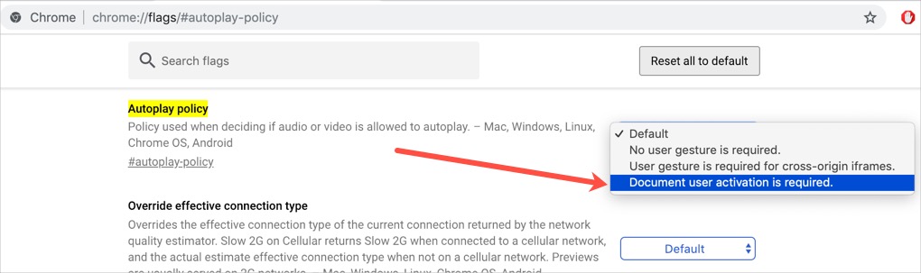 Chrome 自动播放政策标志