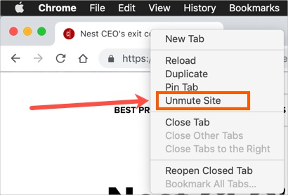 在 Chrome 中取消静音网站