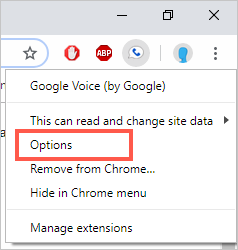 自定义 Google 语音