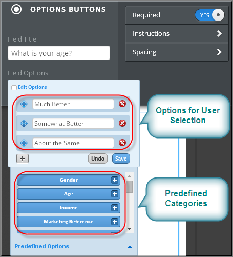 自定义 Weebly 多表单选项字段