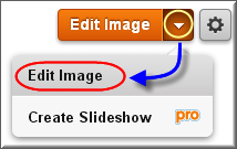 Weebly 标题图像编辑选项
