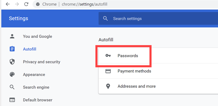 转到 Chrome 中的密码部分