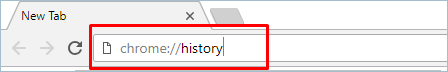 使用命令 URL 查看 Chrome 历史记录