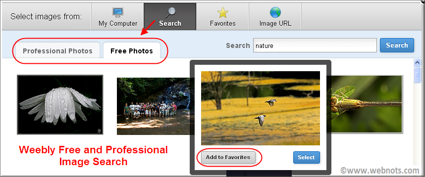 Weebly 专业和免费图片搜索