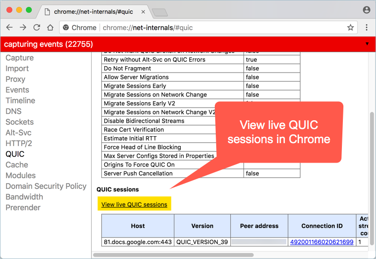 在 Chrome 中查看实时 QUIC 会话