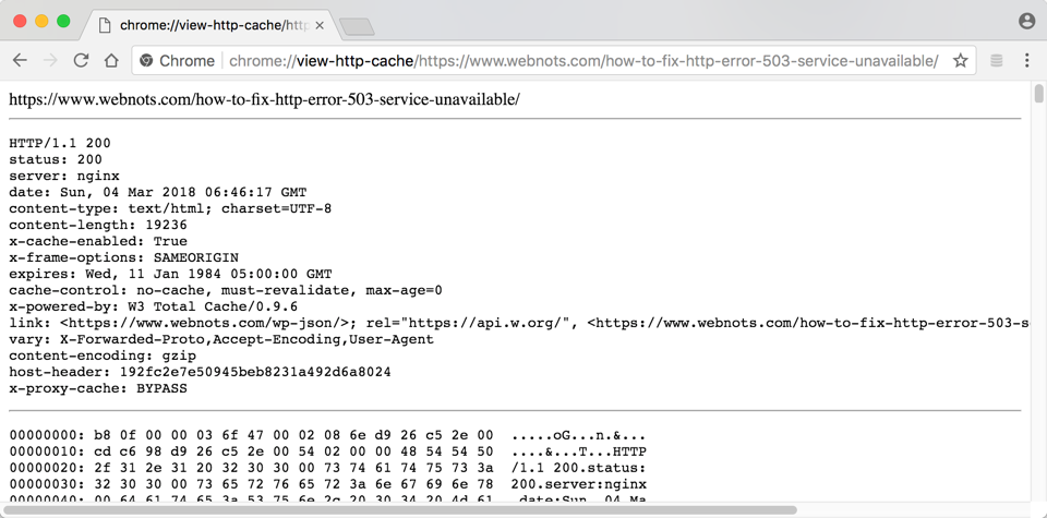 查看 Chrome 缓存十六进制转储