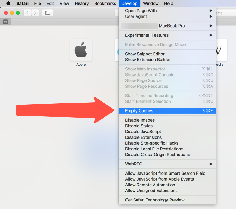 Safari Mac 中的空缓存