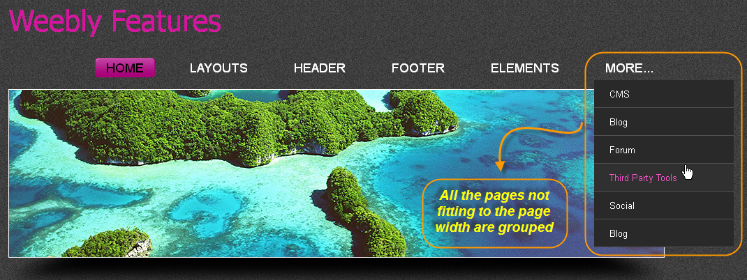 在 Weebly 网站的 More 下分组页面