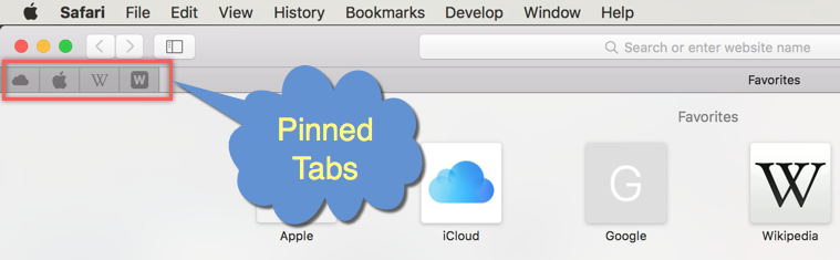 在 Safari 中固定标签