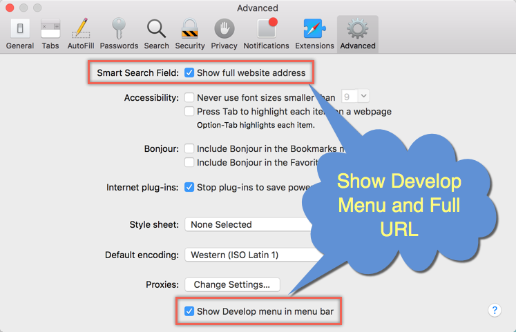 在 Safari 中显示开发菜单