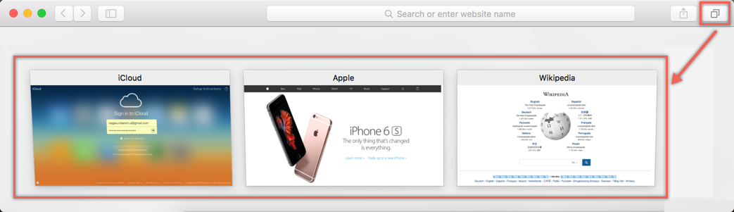 在 Safari 中显示或隐藏所有选项卡