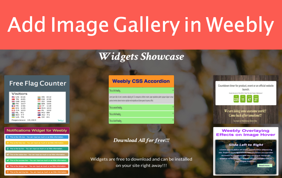 Add Image Gallery in Weebly