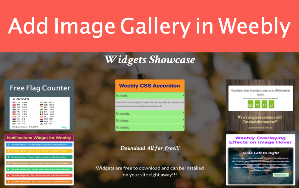 Add Image Gallery In Weebly.png