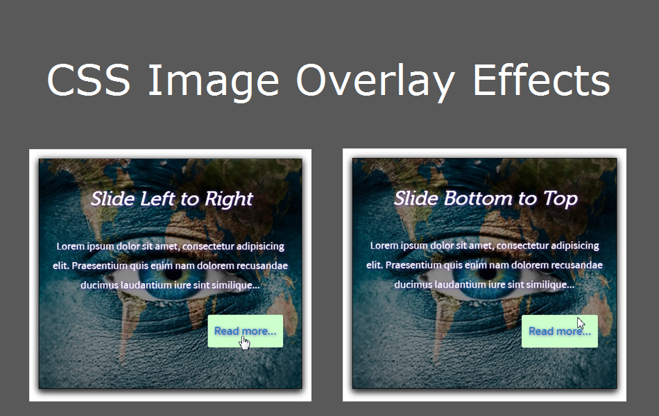CSS Image Overlay Effects