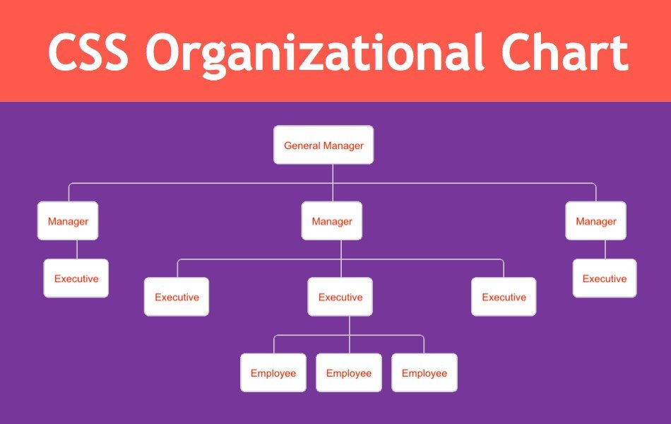 CSS Organizational Chart