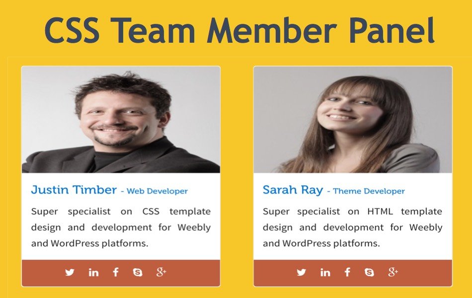 CSS Team Member Panel